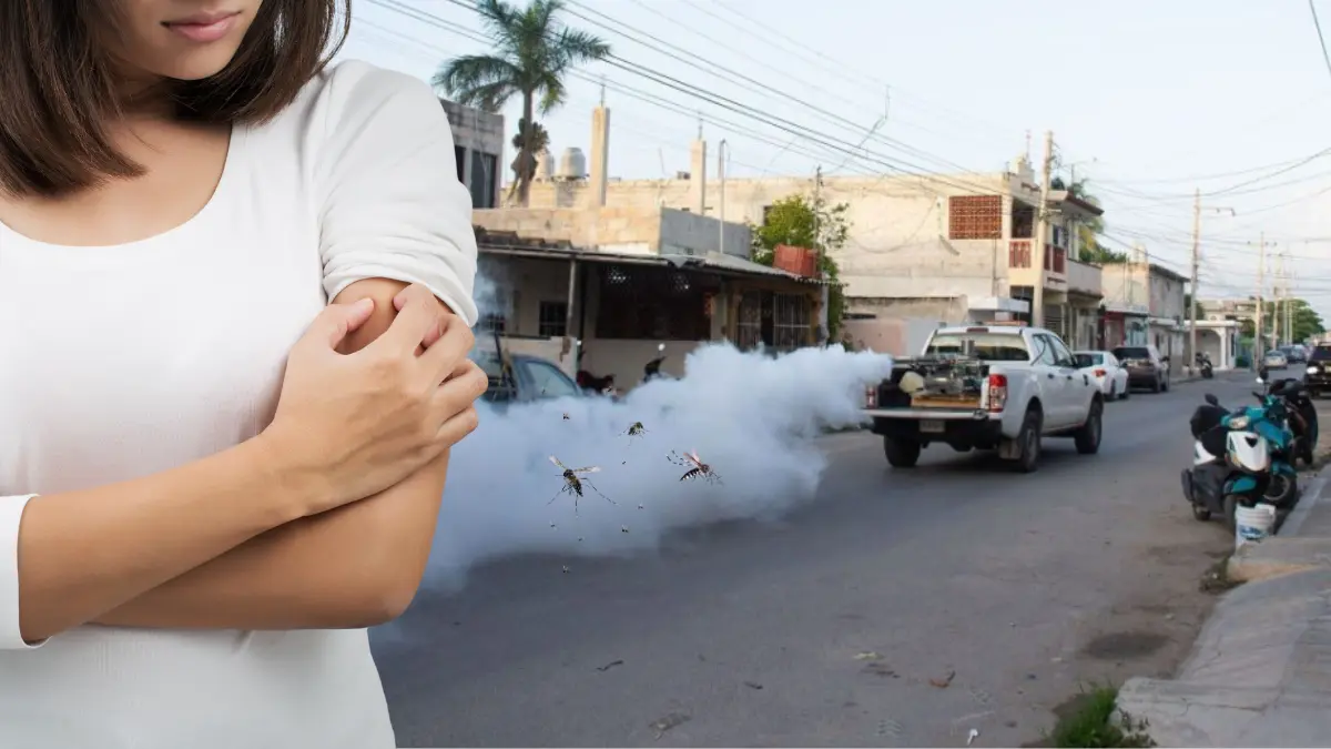 Las jornadas de fumigación continuarán hasta el 7 de octubre Foto: SSY/Canva