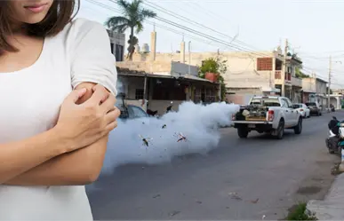 Mosquitos en Yucatán: ¿Dónde van a fumigar este jueves 2 de octubre?