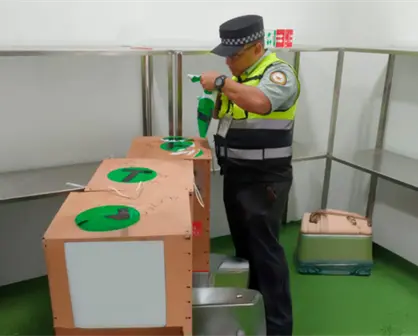Decomisan avestruces en el aeropuerto de Reynosa: ¿cuántos eran y a dónde se dirigían?