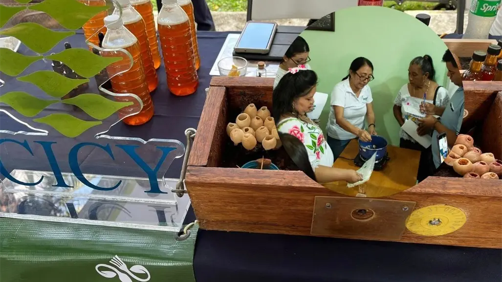 Productores yucatecos de miel ya cuentan con registro oficial