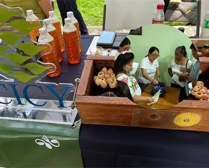 Productores yucatecos de miel ya cuentan con registro oficial