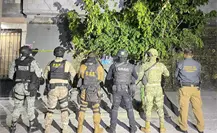 Aseguran 16 kilos de marihuana en Coahuila, así fue el operativo en Saltillo 