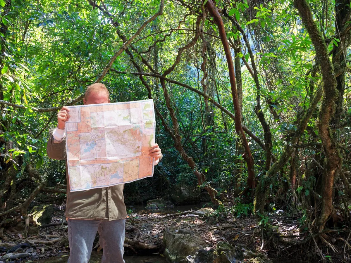 Tras varias horas extraviadas en la selva yucateca, 13 turistas regias fueron rescatadas por las autoridades.- Fuente Canva