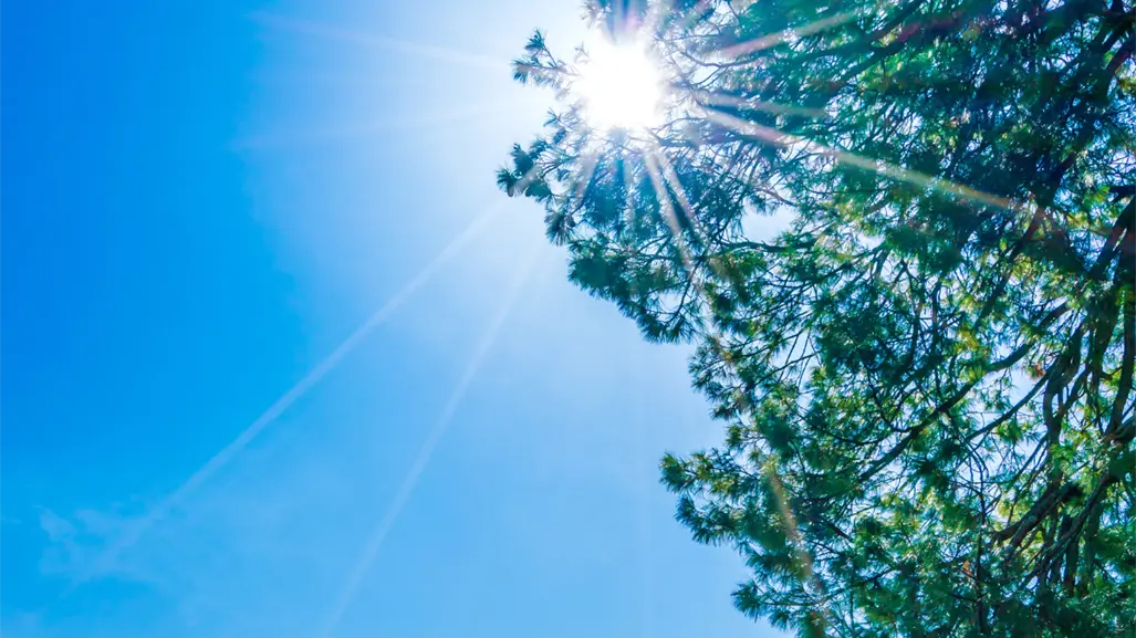 Cielos despejados y calor dominarán el viernes3 de octubre en Tamaulipas