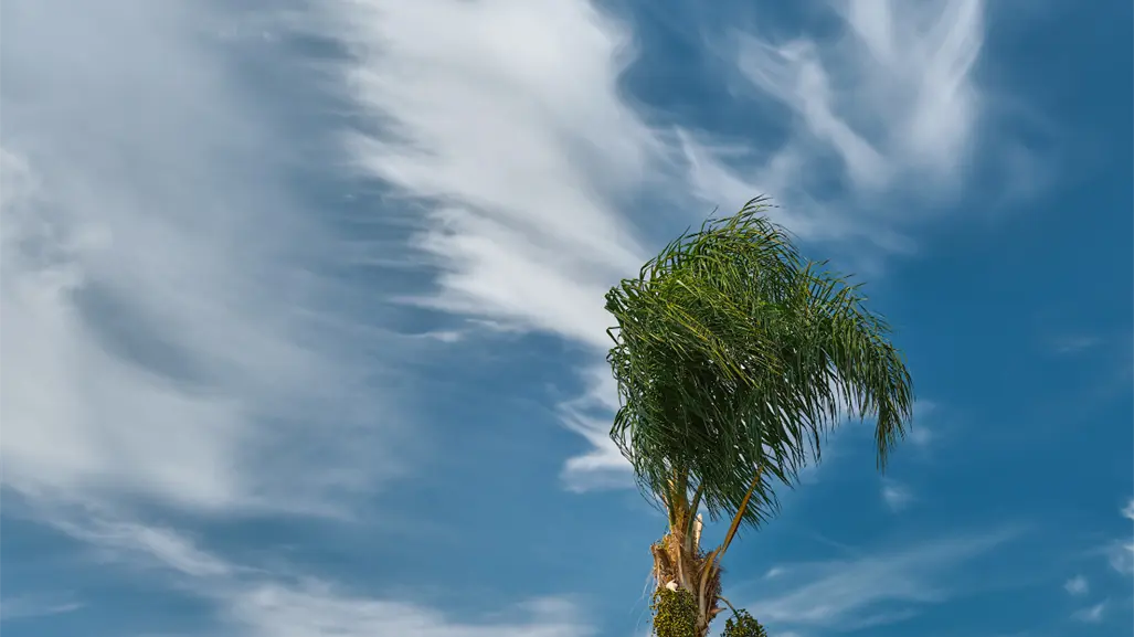 Pronostican chubascos dispersos y rachas de viento para Tamaulipas este 2 de octubre