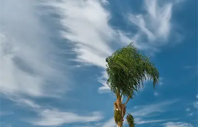 Pronostican chubascos dispersos y rachas de viento para Tamaulipas este 2 de octubre