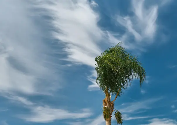 Pronostican chubascos dispersos y rachas de viento para Tamaulipas este 2 de octubre