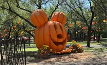 ¡Otoño, Halloween y Diversión! Ven al Parque de las Calabazas 2025 en Parque Fundidora