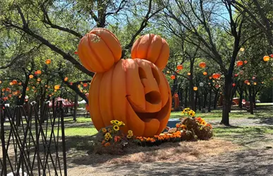 ¡Otoño, Halloween y Diversión! Ven al Parque de las Calabazas 2025 en Parque Fundidora