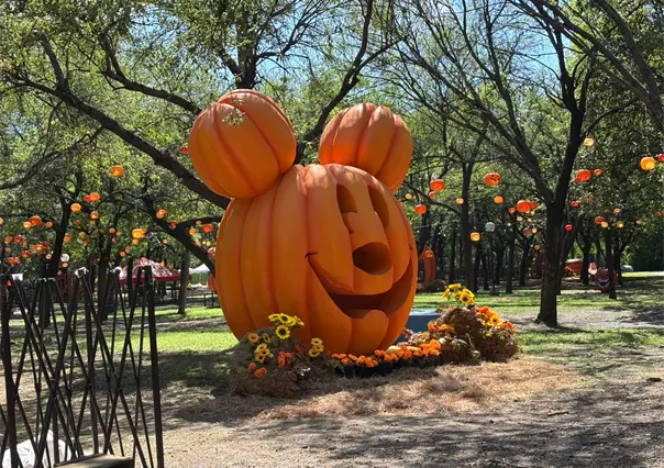 ¡Otoño, Halloween y Diversión! Ven al Parque de las Calabazas 2025 en Parque Fundidora
