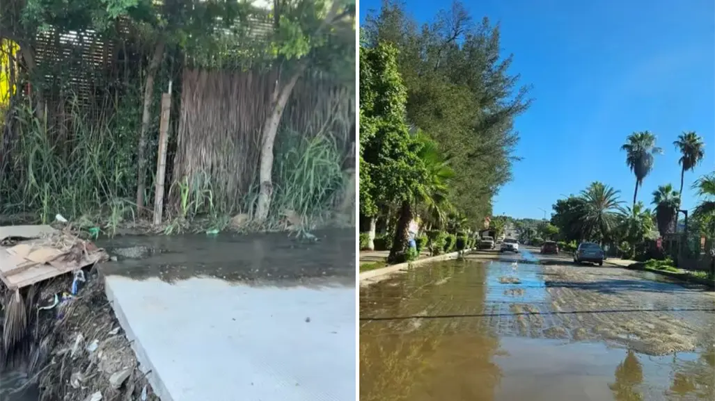 Aguas negras inundan al Pueblo Mágico de Todos Santos y exigen solución a Milena Quiroga