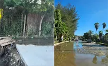 Aguas negras inundan al Pueblo Mágico de Todos Santos y exigen solución a Milena Quiroga Aguas negras inundan al Pueblo Mágico de Todos Santos y exigen solución a Milena Quiroga