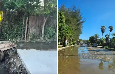 Aguas negras inundan al Pueblo Mágico de Todos Santos y exigen solución a Milena Quiroga