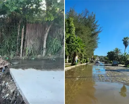 Aguas negras inundan al Pueblo Mágico de Todos Santos y exigen solución a Milena Quiroga