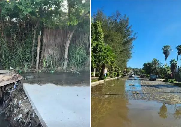 Aguas negras inundan al Pueblo Mágico de Todos Santos y exigen solución a Milena Quiroga