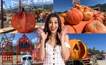 The Pumpkin Dash 2025 abre sus puertas en Monterrey: Casa del Terror, calabazas y diversión para toda la familia
