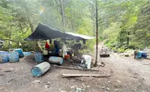 Golpe al narco en Durango: decomisan drogas con valor de 279 millones de pesos