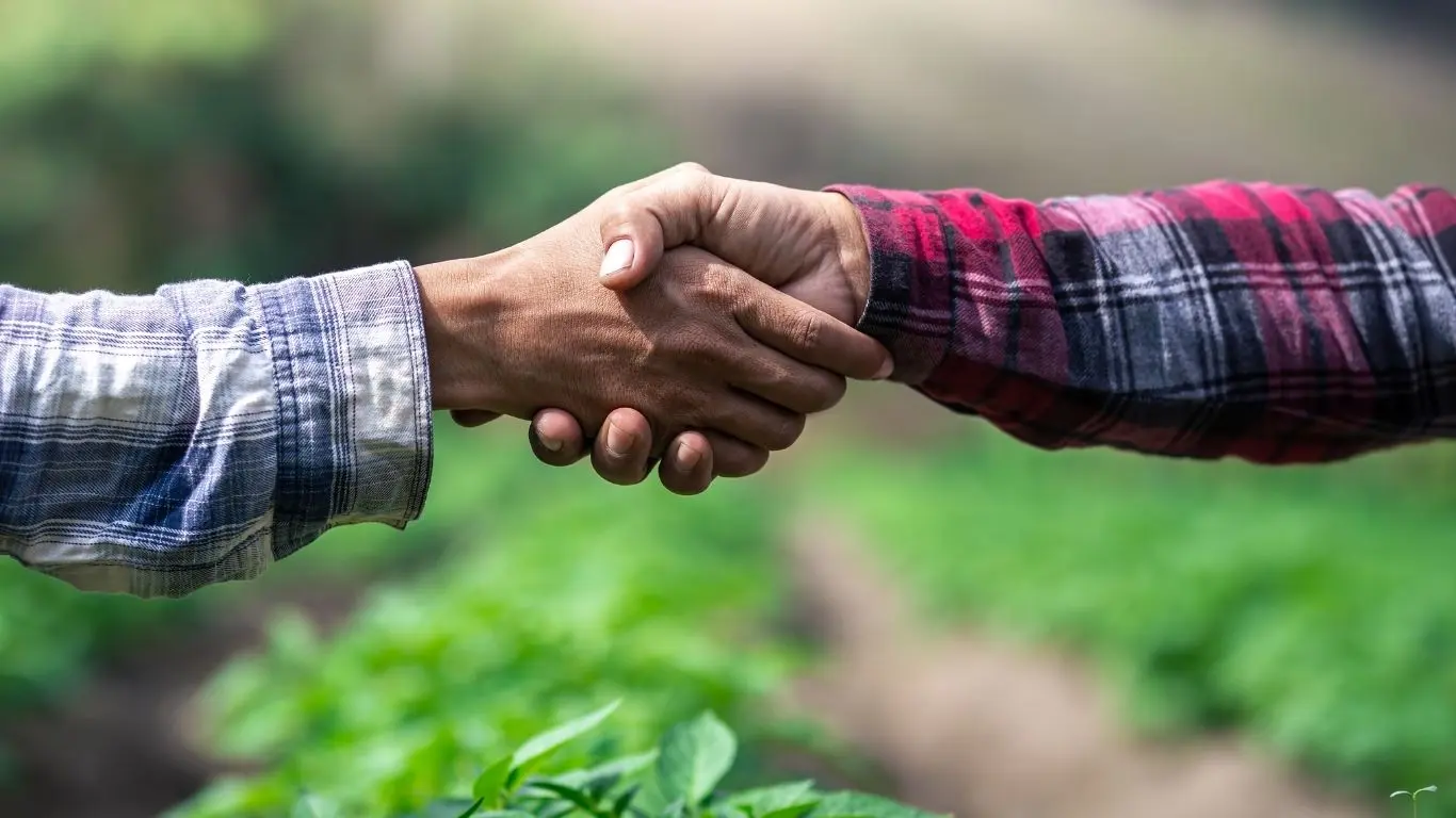 ¿Por qué es importante el taller?. Foto: Canva
