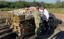 Operación Frontera Norte deja aseguramientos en Baja California, Chihuahua, Nuevo León y Sinaloa