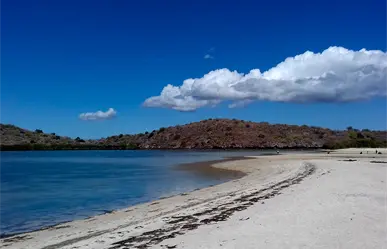 Clima en BCS | Para HOY se pronostican chubascos y temperaturas que rozan los 40°C