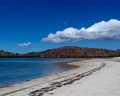 Clima en BCS | Para HOY se pronostican chubascos y temperaturas que rozan los 40°C