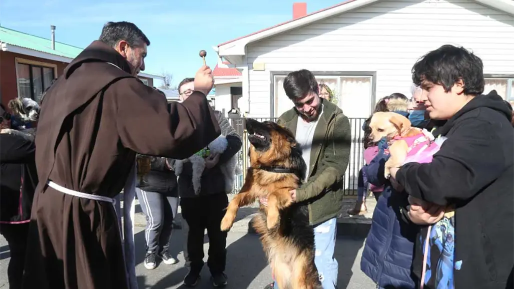 ¿Por qué el día de San Francisco de Asis se bendice a los animales?