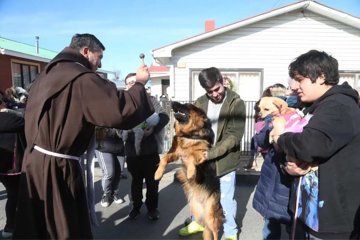 ¿Por qué el día de San Francisco de Asís se bendice a los animales? Foto:  Iglesia Magallanes