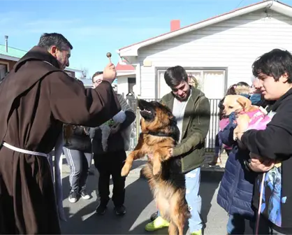 ¿Por qué el día de San Francisco de Asis se bendice a los animales?