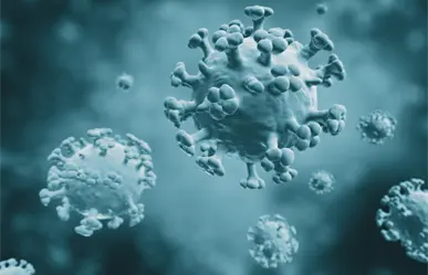 Gripe aviar en Tamaulipas: realizan pruebas al menos a seis personas sospechosas