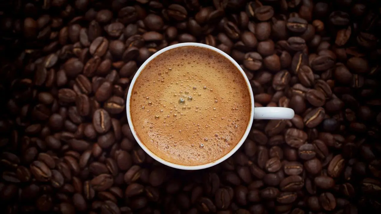 Edomex celebra el Festival del Café 2025: descubre qué podrás encontrar este año. Foto: Canva