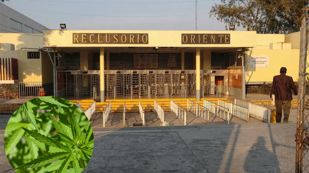 Descubren marihuana oculta en visitante del Reclusorio Oriente: los detalles de la detención