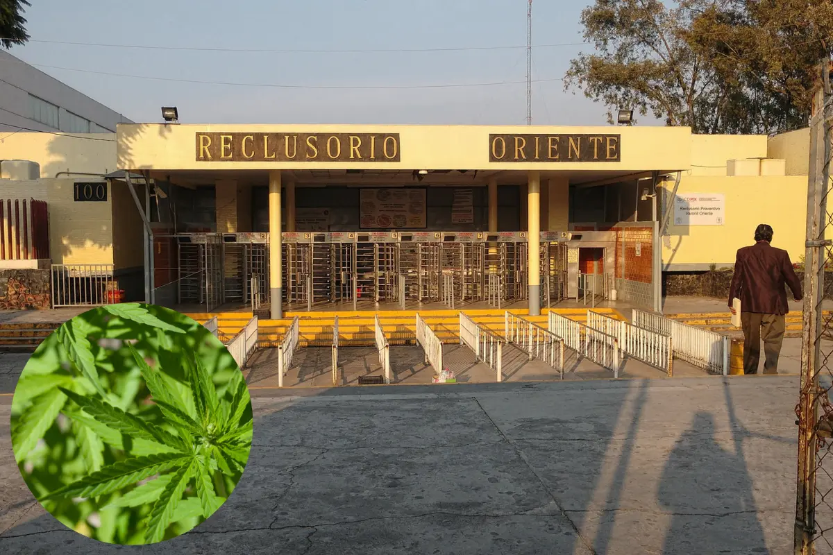 Mujer intentó meter droga en reclusorio. Foto: Canva
