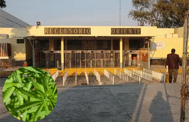 Descubren marihuana oculta en visitante del Reclusorio Oriente: los detalles de la detención