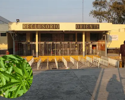 Descubren marihuana oculta en visitante del Reclusorio Oriente: los detalles de la detención