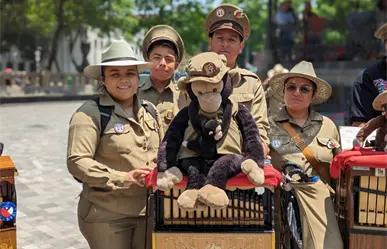 De los organillos al silbido del afilador: oficios que desaparecen en CDMX