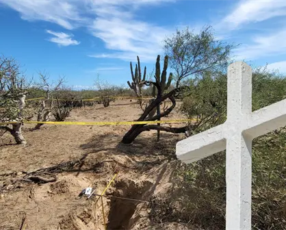 Hallan 2 fosas clandestinas en tramo carretero de Comondú, Baja California Sur