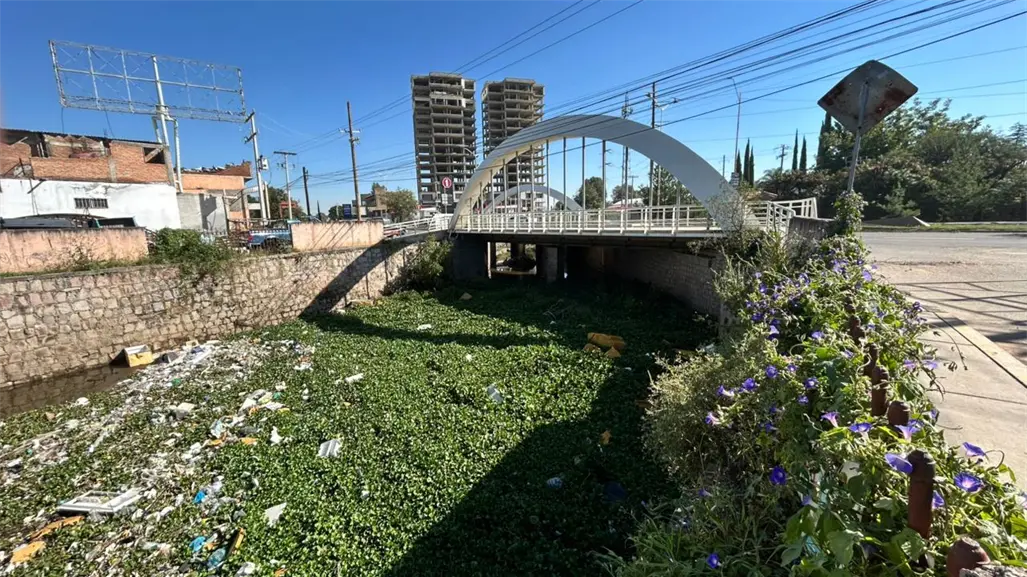 FOTOS | ¿Dónde quedó la basura que el agua arrastró en el Arroyo Seco?