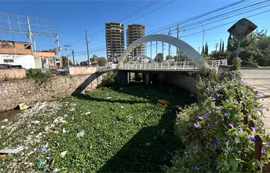 FOTOS | ¿Dónde quedó la basura que el agua arrastró en el Arroyo Seco?