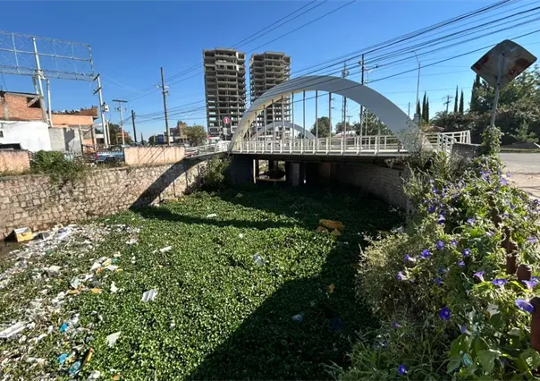 FOTOS | ¿Dónde quedó la basura que el agua arrastró en el Arroyo Seco?
