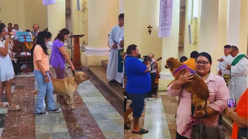 Bendicen a mascotas en San Sebastián durante las fiestas de San Francisco