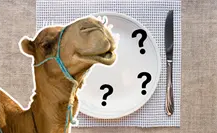 Torreón tiene la manera más rica de comer camellos, ¿ya lo sabías?