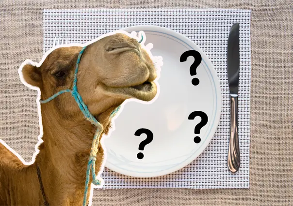 Torreón tiene la manera más rica de comer camellos, ¿ya lo sabías?