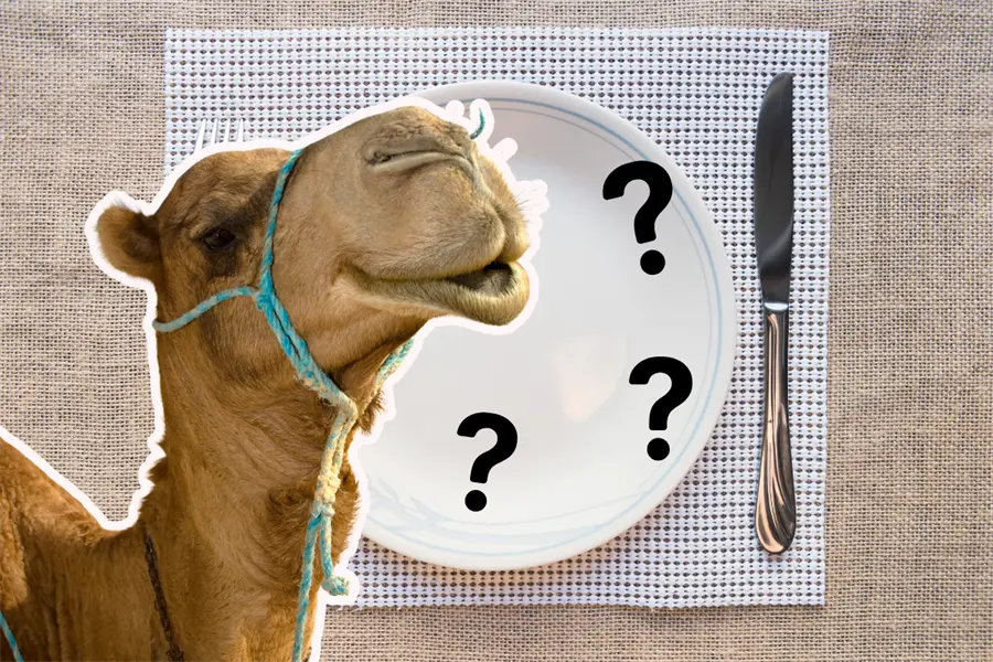 Torreón tiene la manera más rica de comer camellos, ¿ya lo sabías?