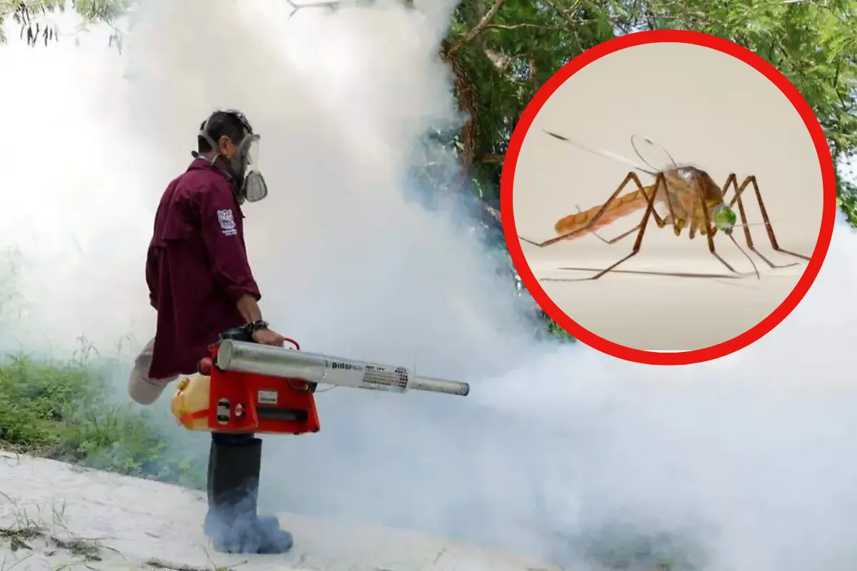 Descubre cómo las campañas de fumigación y descacharrización han reducido los casos de dengue en Tamaulipas