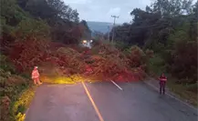 Deslave en autopista del Edomex causa cierre total de la vialidad Tenancingo - Tenango