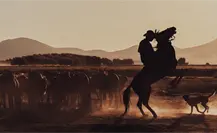 Festival Rodeo de Saltillo 2025: ¿cuál es el costo de los boletos?