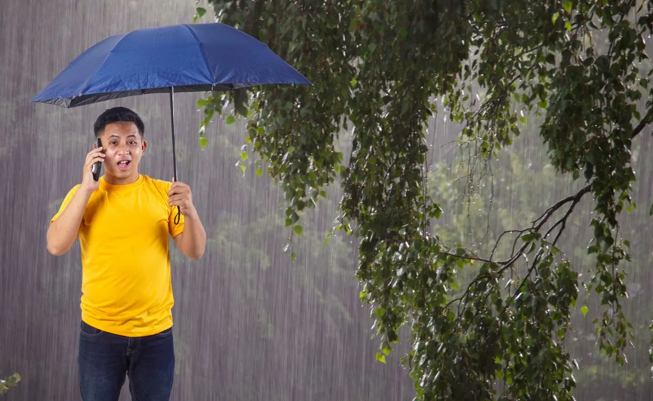 ¿Qué estados se verán más afectados por las lluvias? Foto: Canva
