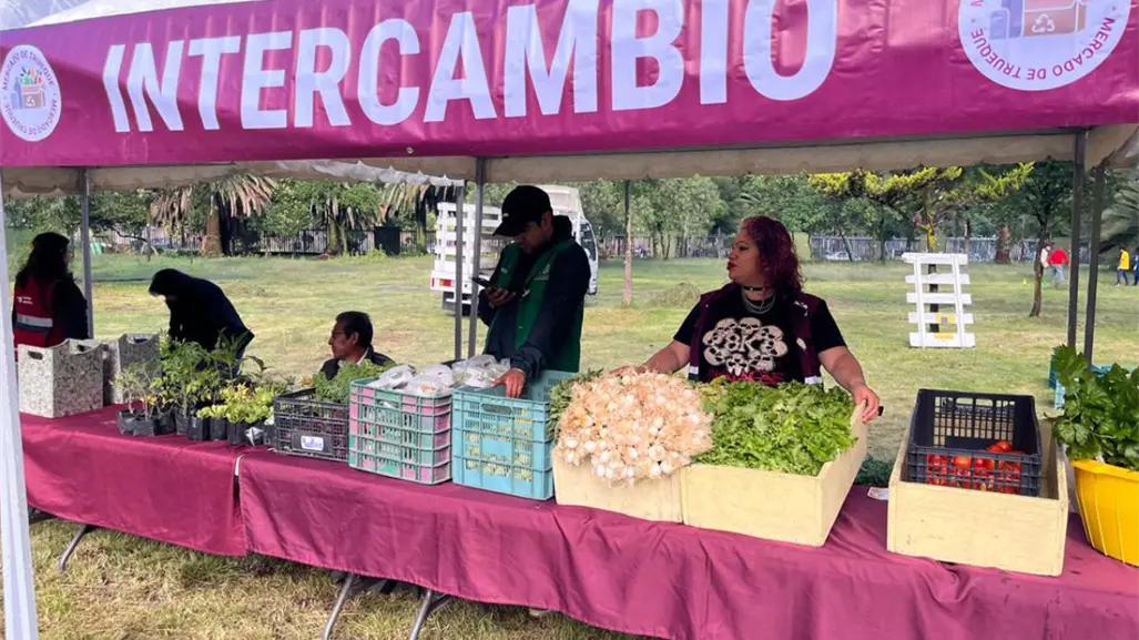 Mercado de Trueque en Los Coyotes: todo lo que necesitas saber para participar