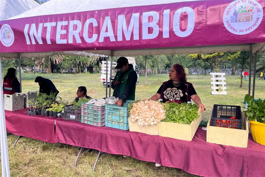 Mercado de Trueque en Los Coyotes: todo lo que necesitas saber para participar