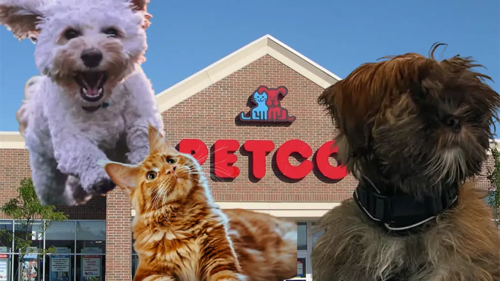 Habrá Petco en Ciudad Victoria, ¿Qué se sabe?